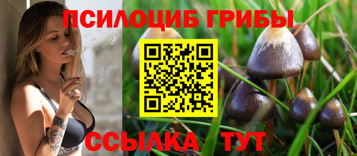 магазин продажи   Вход с VPN  Псилоцибиновые грибы Psilocybe  Павлово  Псилоцибиновые грибы мицелий 
